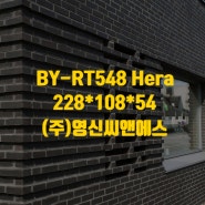 BY-RT548 Hera: 우아함과 시크함을 겸비한 고급 블랙 워터스트럭 벽돌 (랜더스브릭, Randers Tegl, 덴마크벽돌)