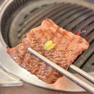 [공주] 대전 근교 맛집, 상차림비 없는 공주 한우마을정육식당