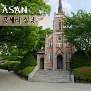 천안 아산 가볼만한 곳 봄에 아름다운 공세리 성당