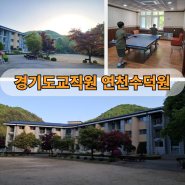 경기도교직원 연천수덕원 이용후기 │ 수덕원에서 만난 고라니 이야기