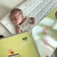 생후 2개월 아기 책육아를 시작한 이유