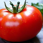 (건강)토마토의 성분과 10가지의 효능에 대해 알아보자!!