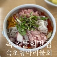 속초물회 맛집 속초해수욕장에 있는 속초항아리 물회 완전 맛있어요.(내돈내산)