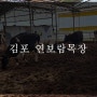 김포 연보람목장 목장체험 주말방문후기