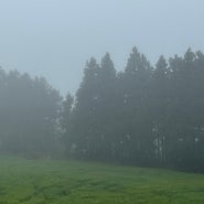 [제주] 바리메오름, 비 오는 날 방문한 사진 찍기 좋은 제주 셀프 스냅 명소