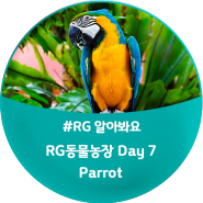 [모여라! RG 동물농장] Day 7. Parrot(앵무새) : Binky the Parrot / 'Parrot'이 들어간 영어표현