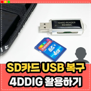 SD카드 USB 복구, 4DDIG Data Recovery 활용하기