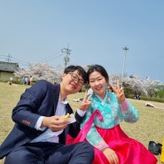 봄소풍 강릉벚꽃축제 경포피크닉 (24.4.10)