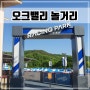 원주 아이와 갈만한곳 오크밸리 놀이동산, 바운스 레이싱파크 후기