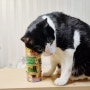 고양이 캔 참치캔 추천 네코(NEKKO) 습식 캔으로 기호성 고민 끝 (내돈내산)