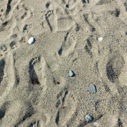 포항 바닷가 맨발 걷기는 지루하지 않아 좋다.