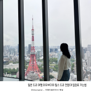 일본 도쿄여행 아자부다이힐스 도쿄타워 전망대 추천 입장료 가는법