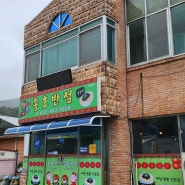 [강원도/신남] 신남 터미널 근처 짬뽕 맛집 종호반점