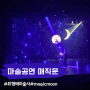 최형배 마술사의 매직문 magic moon 용산아트홀 대극장 미르 마술공연 관람 후기
