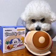 버디부 버디볼 움직이는 강아지 노즈워크 장난감 개린이날 선물