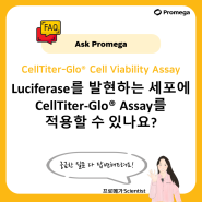 [Ask promega] Luciferase를 발현하는 세포에 CellTiter-Glo® Assay를 적용할 수 있나요?