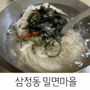 김해 인제대 맛집 삼정동 밀면마을 양이 많은 국수