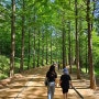 금강자연휴양림 강마루3호 후기 + 준비물, 맨발걷기, 금강수목원
