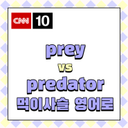 Prey 먹이감 vs Predator 포식자, 먹이사슬 영어로 CNN10에서 알아봐요