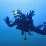[제주여행][대만족후기]생에 처음 제주도 스쿠버다이빙 오픈워터 자격증에 도전하다!::제주다이브클럽 후기+꿀팁