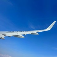 필리핀항공 인천공항 세부 수하물 기내식 온라인체크인 탑승기