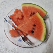 여름 필수템 '도도과일 꿀 수박!' 후기+수박 보관 방법팁