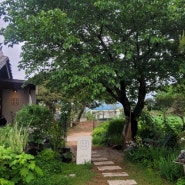 [유유차적] 정원이 예쁘고 여유로움을 느낄 수 있는 경기도 안성 한옥카페