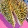 두리안 구매 후기 및 손질 방법 냄새 맛 정보 국내 durian