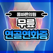 20대 무릎 통증 원인 연골연화증