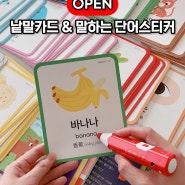 [마감] 3세 아기 한글공부 하뚱 낱말카드 & 한글떼기(말하는 단어스티커) 세이펜호환