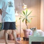 강아지 커스텀 티셔츠 강아지사진으로 비비드포르테에서 제작 후기