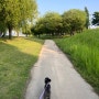 강아지랑 놀러간 선유도공원(주차/가는길/배달)
