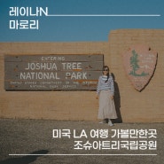 미국 LA 여행 가볼만한곳 조슈아트리국립공원 줌줌투어에서 선택!