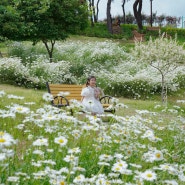 아기랑 가볼만한곳 5월 봄 꽃구경 대구 샤스타 데이지 명소 이현공원 룰루랄라