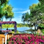 가평 자라섬 꽃축제 2024 봄꽃축제 기간 입장료 애견동반