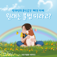 반려인의 휴식공간 애견카페 원래는 불법이라고? (feat. 애견동반, 자유기업원 서포터즈 7기)