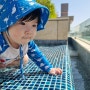 인천 파라다이스 시티 호텔 아기랑 실내, 야외 수영장 후기 (시간, 가격, 모자, 수영복 규정)