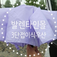 발렌타인몰 튼튼한 연나무 3단우산, 접이식으로 사용하기 편리한 우산