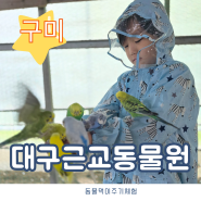 동물먹이주기체험 가능한 대구근교동물원 구미 쥬쥬동산 아이들이 좋아하는 이유