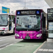 후쿠오카 공항에서 하카타역 텐진역 버스 지하철 가격과 이용후기