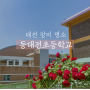 대전 장미 명소 동대전초등학교