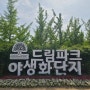 인천 드림파크 야생화단지 봄꽃 나들이