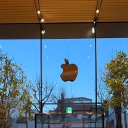 애플 1차 출시국가에 처음으로 한국 포함 신형 아이폰16 한국에서 빠르게 구입가능 언제