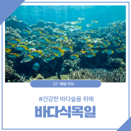 국립해양박물관 [해양 이야기] 바다에도 식목일이 있다? 5월 10일 '바다식목일'
