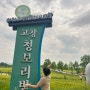 2024 고창 청보리밭 축제 가족여행 코스 추천