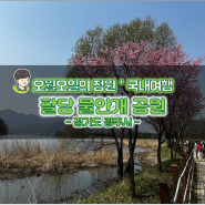 경기도 차박 캠핑 광주 캠핑장 추천 팔당 물안개 공원
