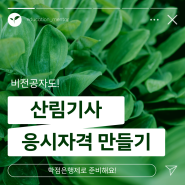 산림기사 학점은행제 비전공자 응시자격 만들고 준비하기