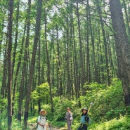 아름다운 숲길♡ 쉬운 등산코스, 하남 [검단산]