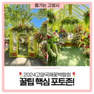 경기도 꽃축제 🌹고양꽃박람회🌹 꿀팁 핵심 포토존!