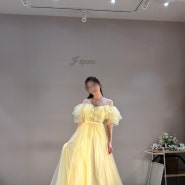 Wedding 14-5. 제이스포사 촬영가봉 후기, 노란색 유색드레스